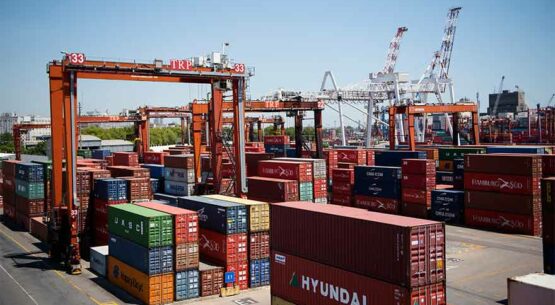 Inminente colapso portuario por cepo al dólar: alertan que comenzarán a acumularse miles de contenedores
